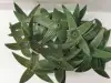 8-centimeter diameter five-angled artificial flower accessories, high, medium and low-grade flower pieces accessories, wedding flower accessories, artificial silk flower accessories details Picture